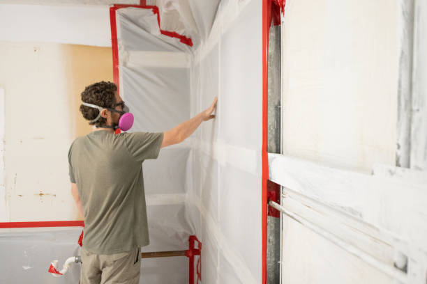 Best Basement Mold Removal  in Archbald, PA